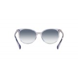 Sunglasses Ralph Lauren RA5296-6035X0