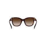 Sunglasses Ralph Lauren RA5301U-500313