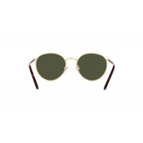 Sunglasses Ralph Lauren RL7076-931631