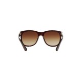 Sunglasses Ralph Lauren RL8141-50033B