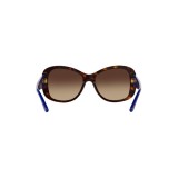 Sunglasses Ralph Lauren RL8144-500313